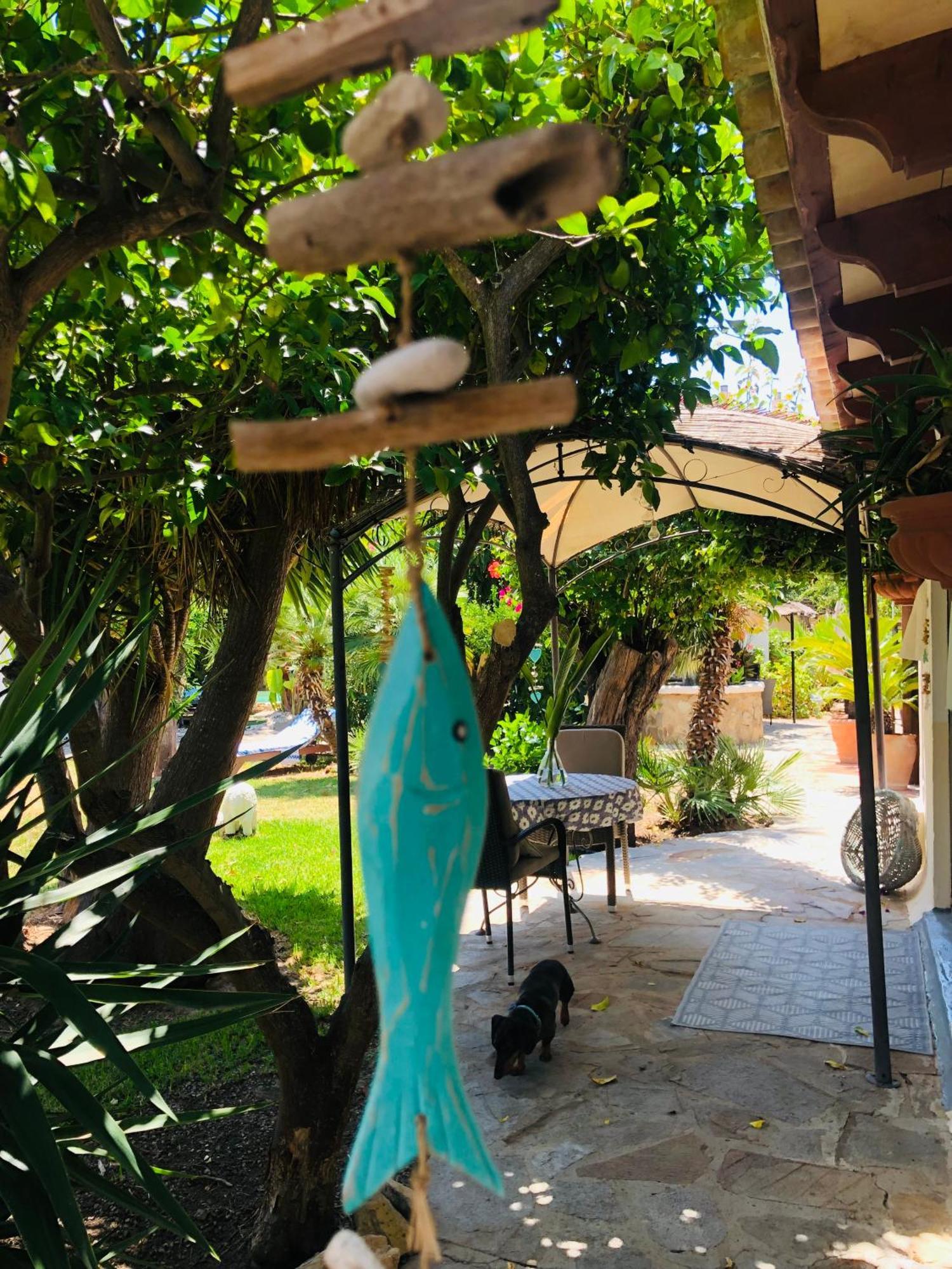 Вилла Casita Limon Андрач Экстерьер фото
