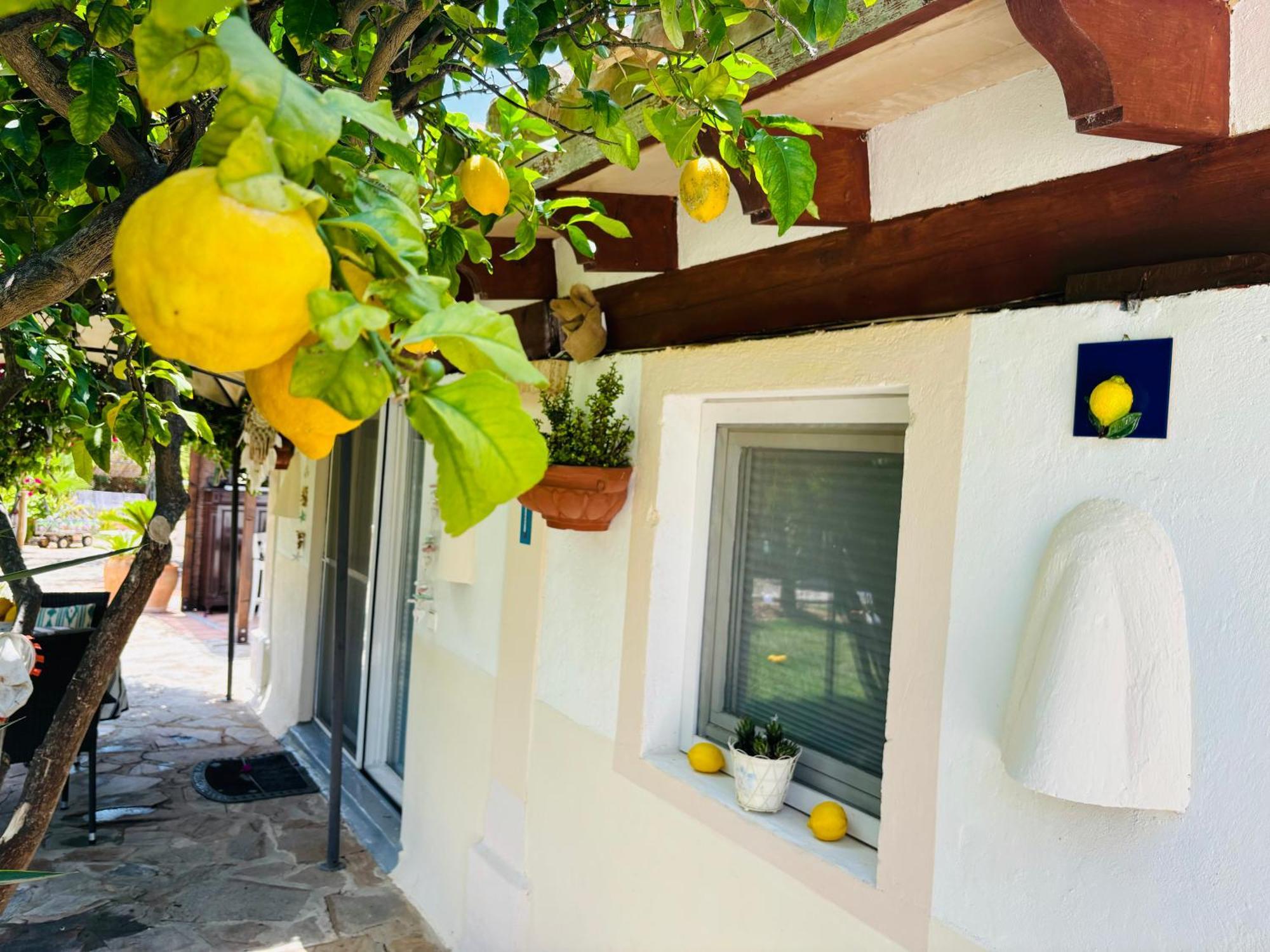 Вилла Casita Limon Андрач Экстерьер фото